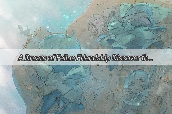 A Dream of Feline Friendship Discover the Magic of Welcoming a Second Cat into Your Life